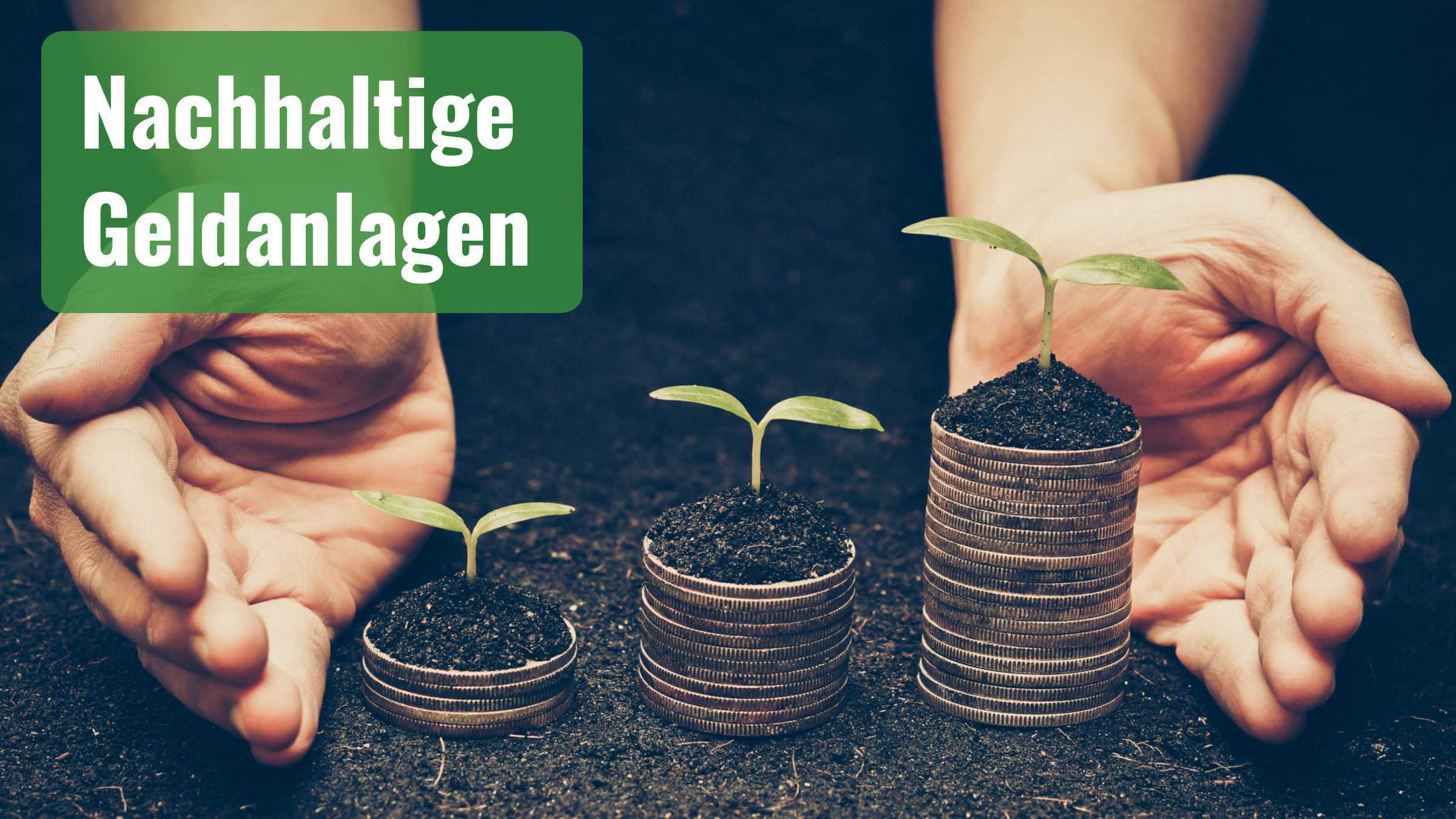 Nachhaltige Geldanlagen